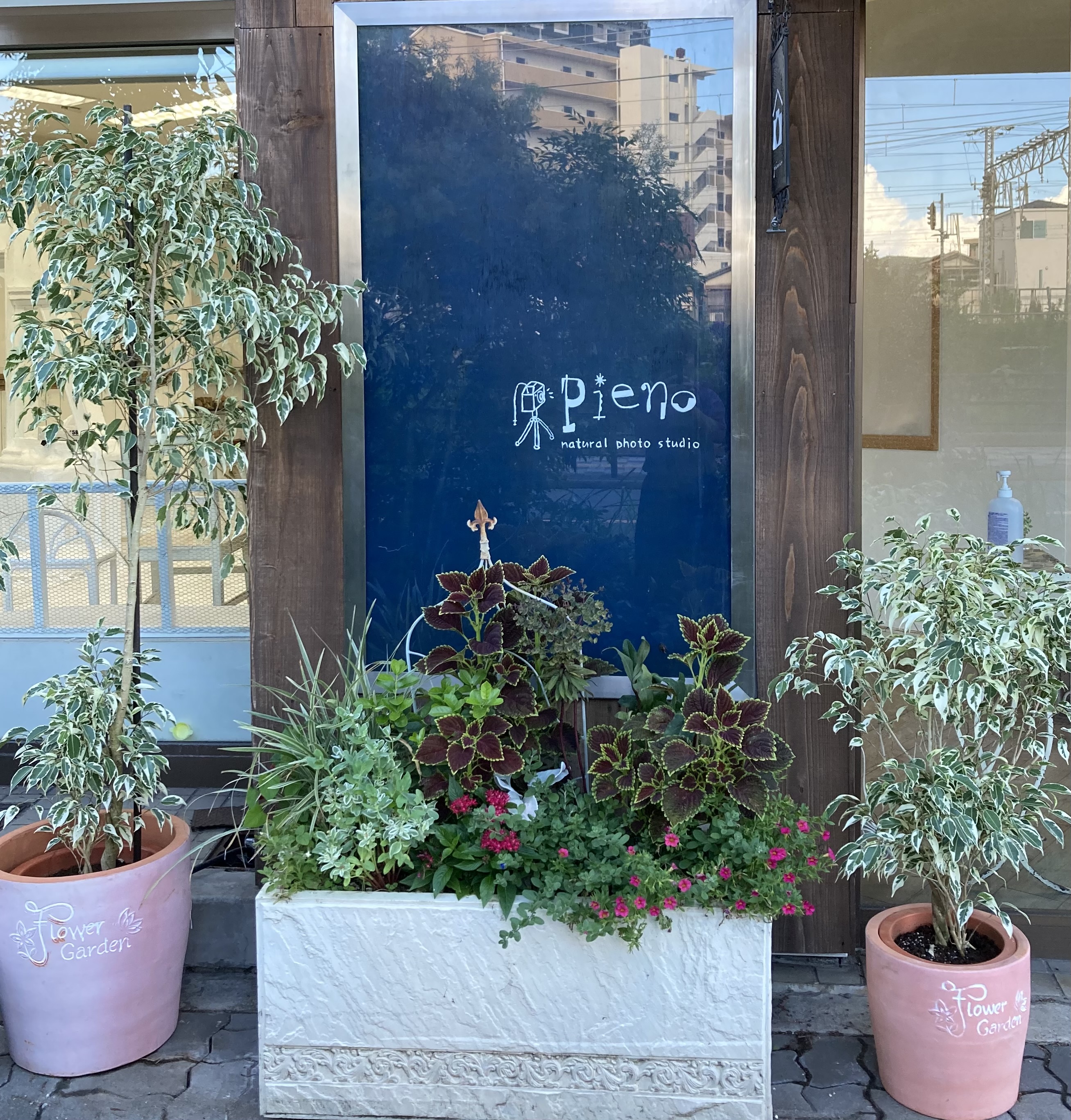 鉢植え画像