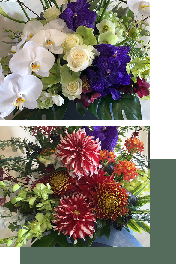 arrangement