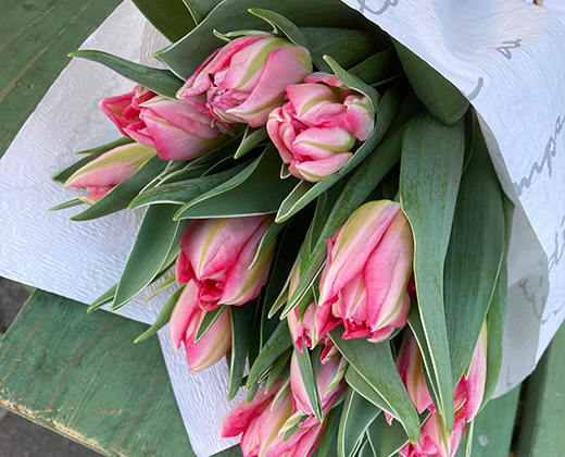 花束画像