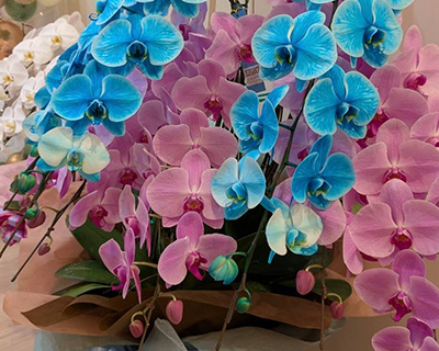 お仕事でご利用したいお客さま向けのお花